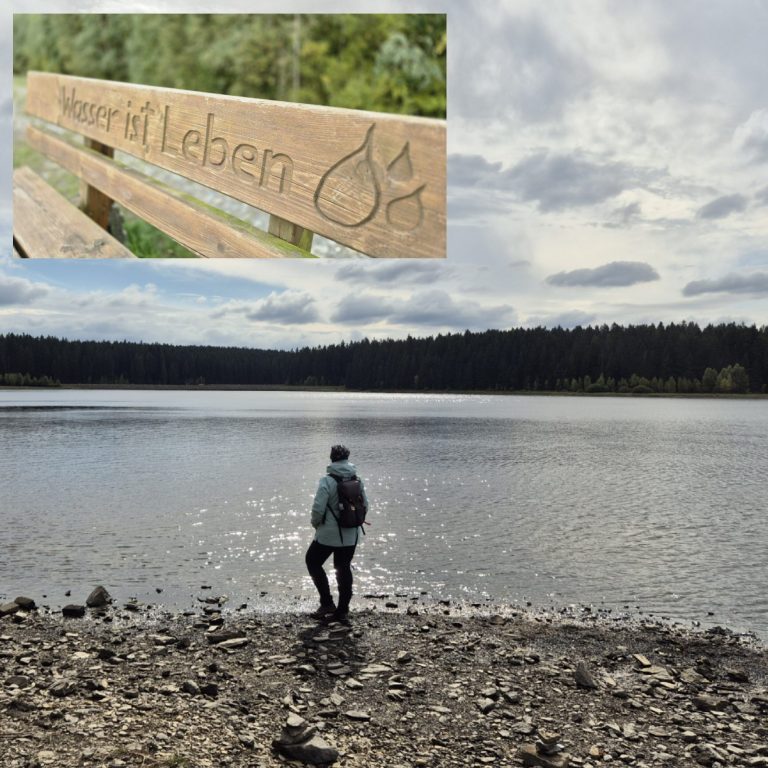 Talsperre Muldenberg