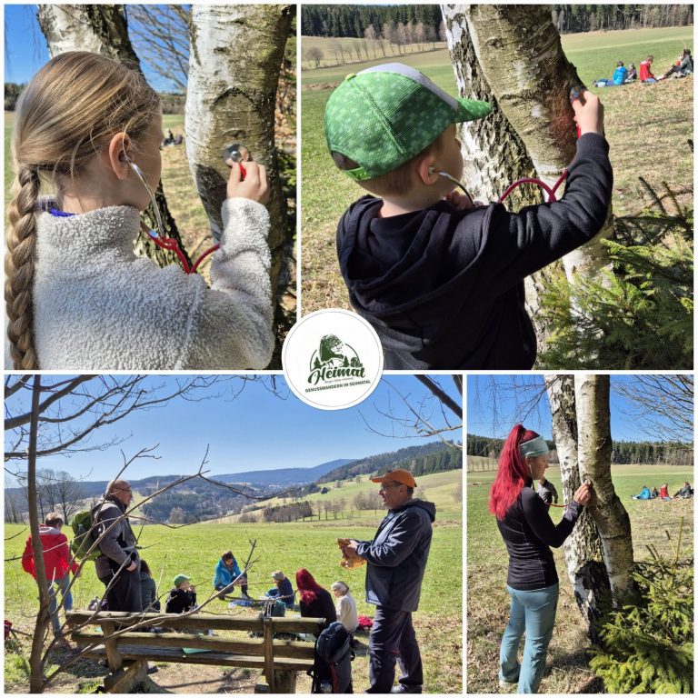 Bäume belauschen Picknick in der Frühlingssonne