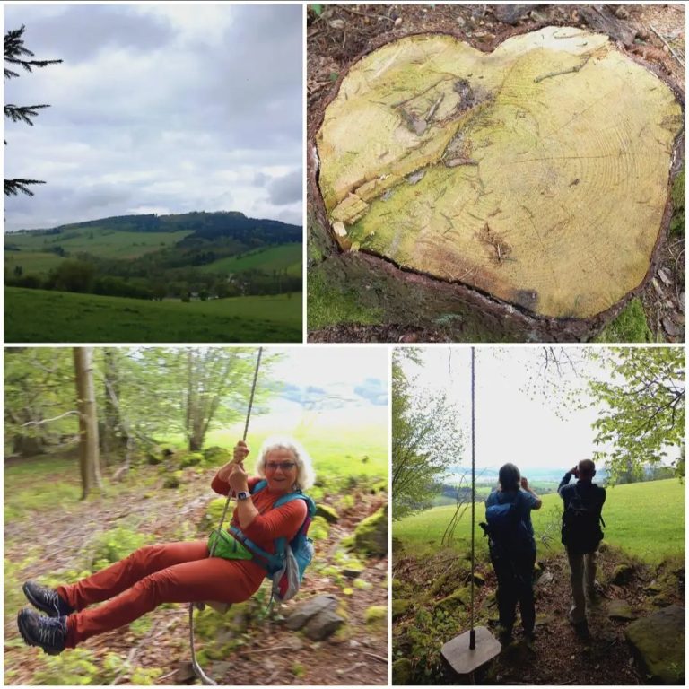 Waldschaukel Am Fuße des Scheibenbergs