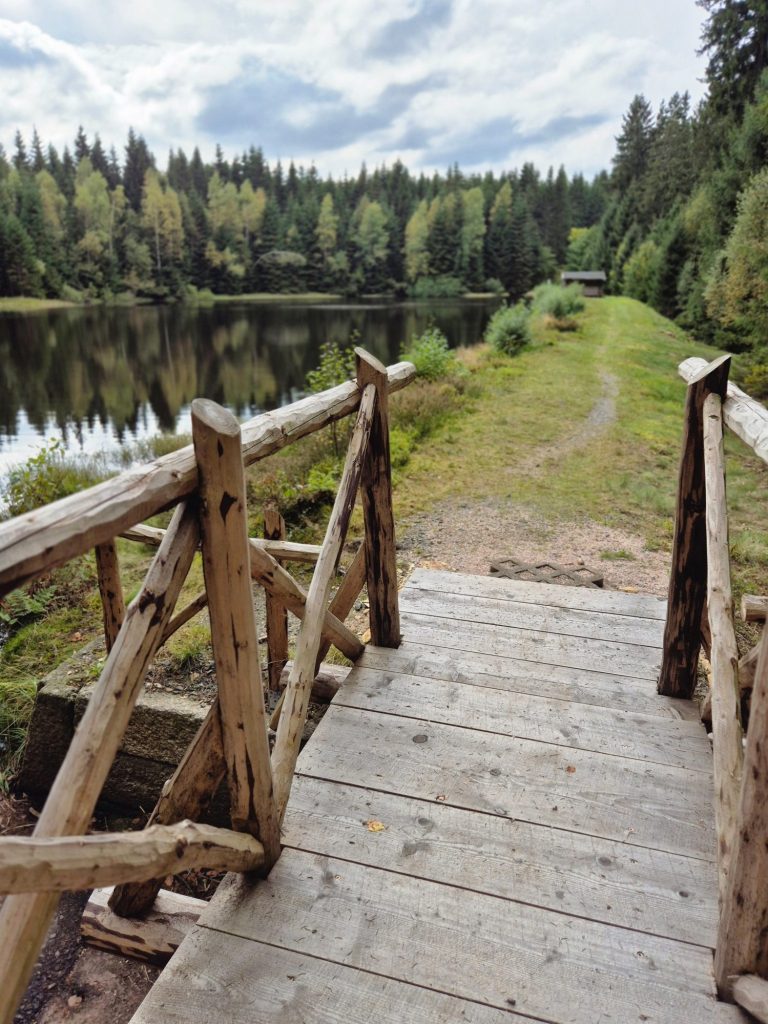 Am Sauteich nahe der Talsperre Muldenberg