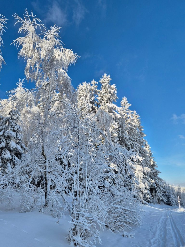 Winterzauber am Paulusberg
