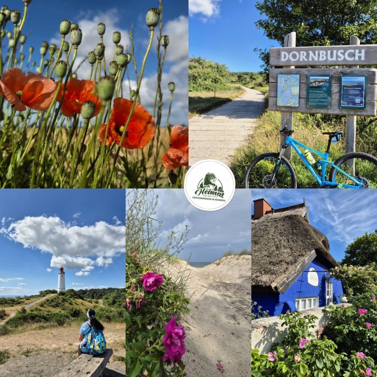 Inselglück auf Hiddensee Inselglück auf Hiddensee