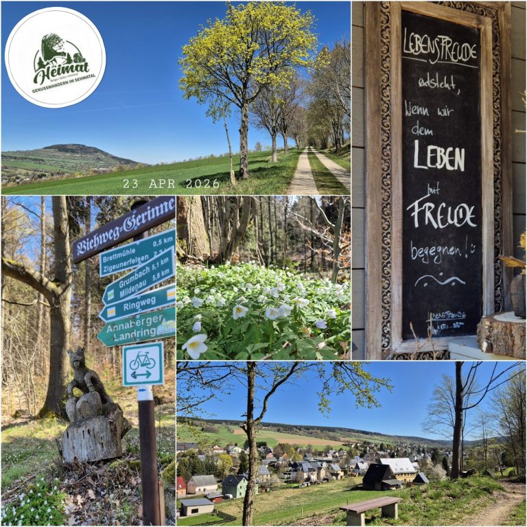 Wandern im Erzgebirge Ringweg Königwalde
