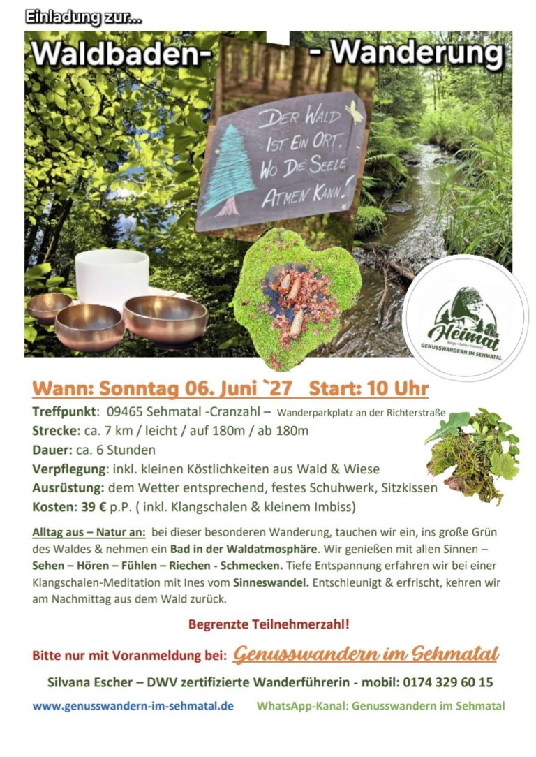 Waldbadenwanderung Waldbaden