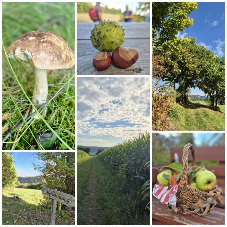 Zum Kurpark Wiesenbad