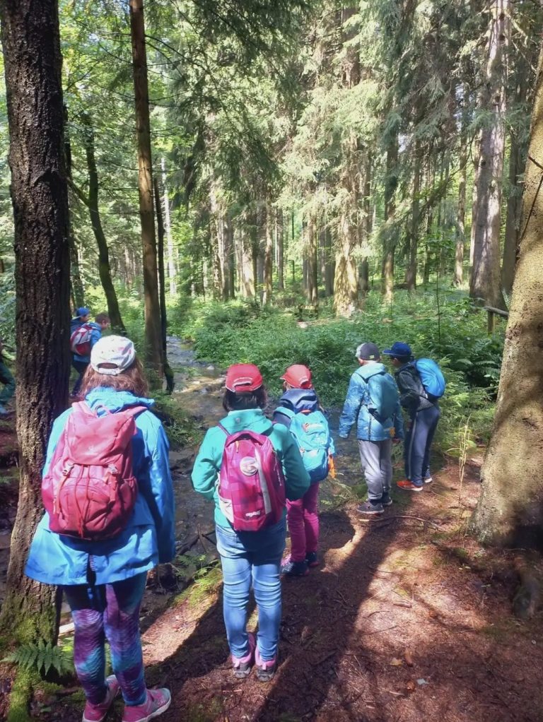Auf Entdeckertour im Wald