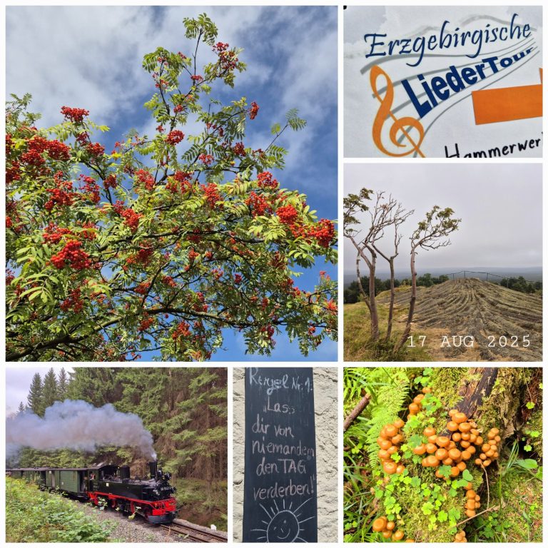 15. Erzgebirgische Liedertour 2025 15. Erzgebirgische Liedertour 2025