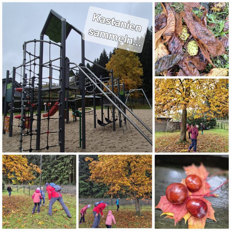 Kastanien sammeln