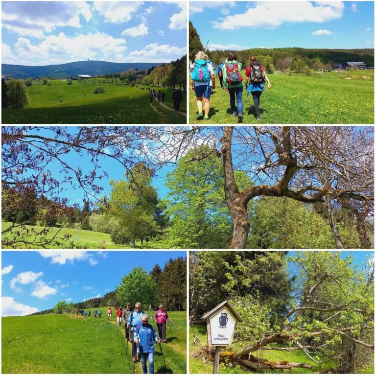 Fichtelberg-Bergwiesen