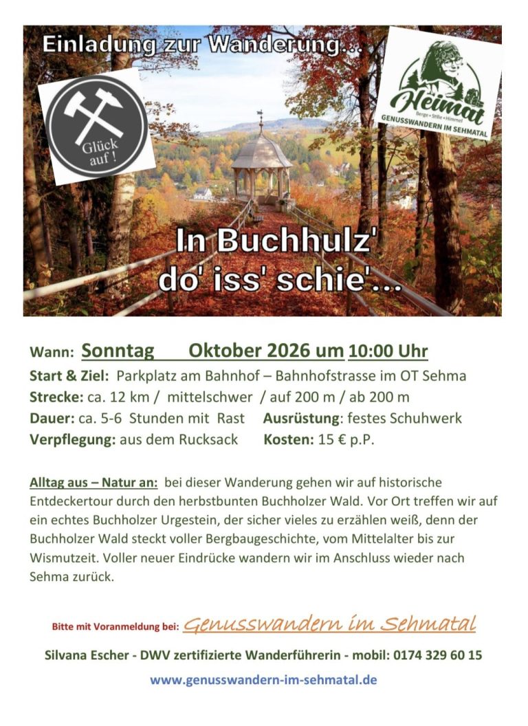 Wandern im Buchholzer Wald