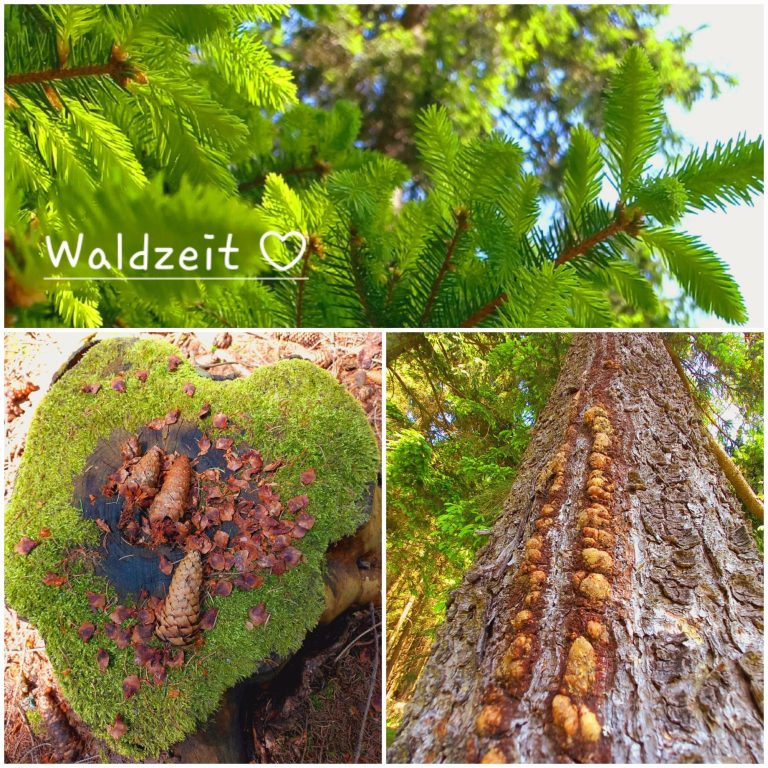 Waldbaden