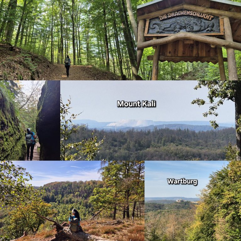 Naturpark Thüringer Wald Naturpark Thüringer Wald