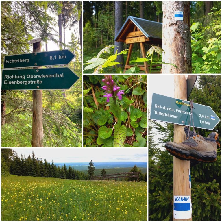 Kammweg Erzgebirge-Vogtland