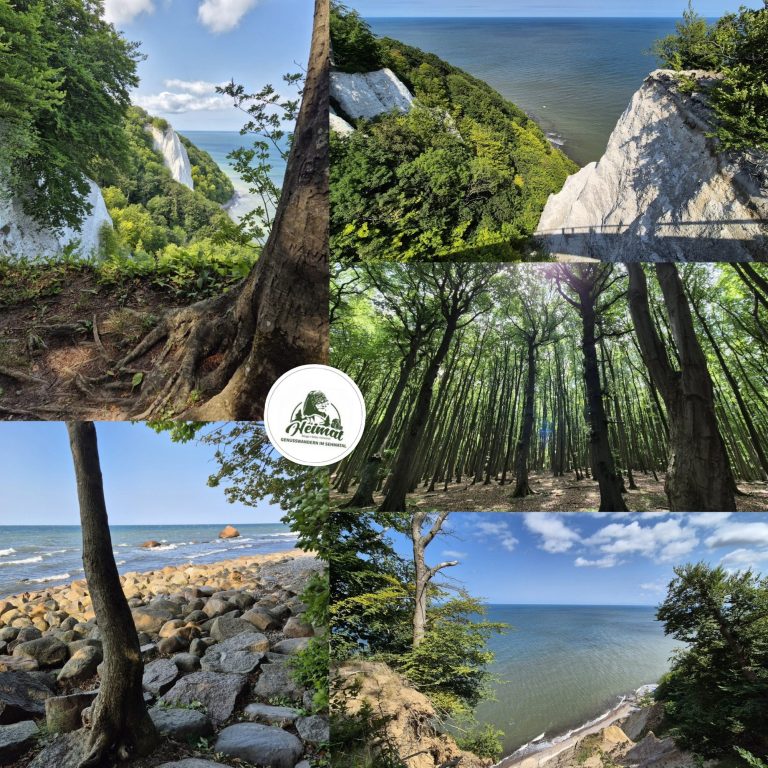 Nationalpark Jasmund Nationalpark Jasmund