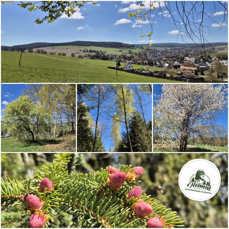 Frühling im Erzgebirge Frühling im Erzgebirge