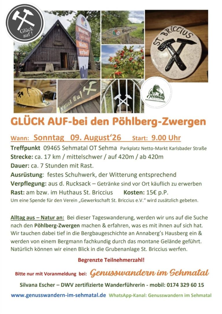 Grube St. Briccius Bergbaugeschichte am Pöhlberg