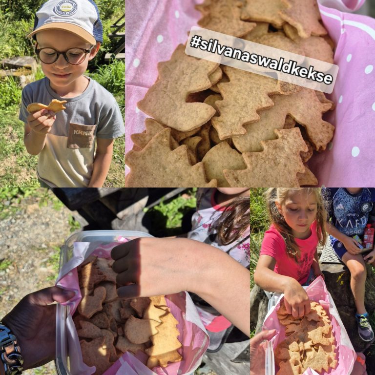 Silvanas Waldkekse