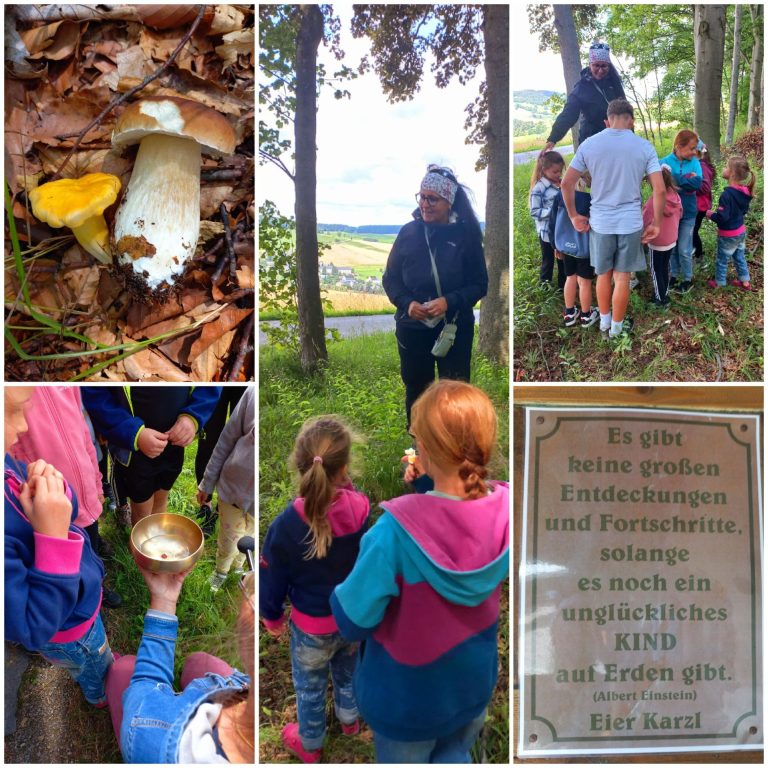 Waldspiele Waldspiele