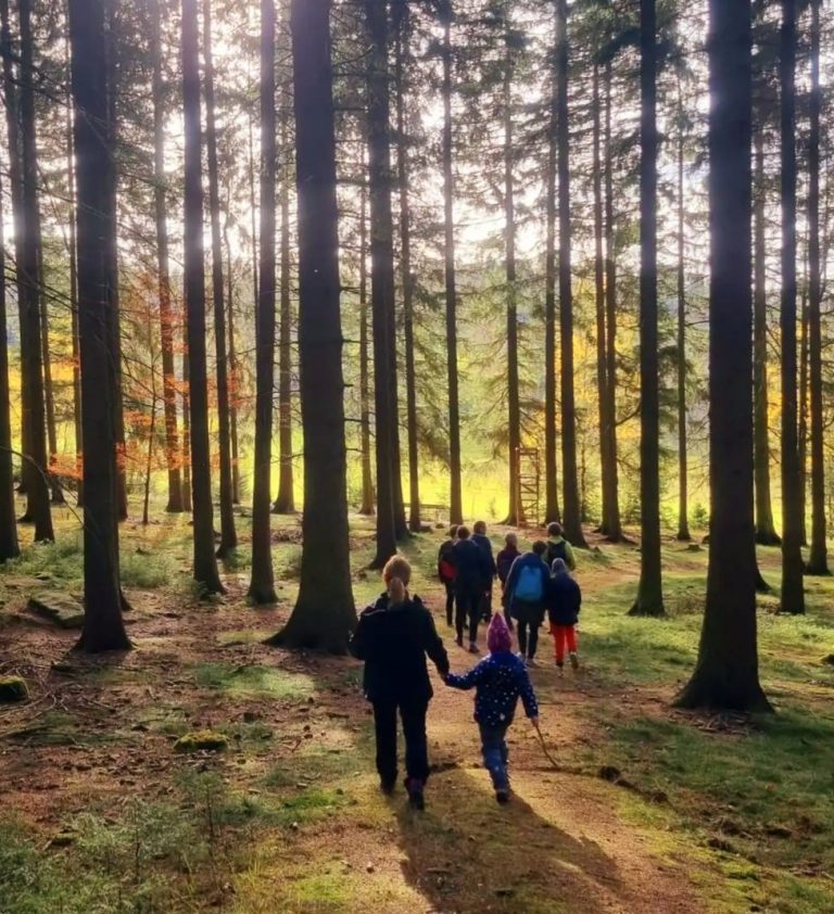 Im Sehma'er Gemeindewald