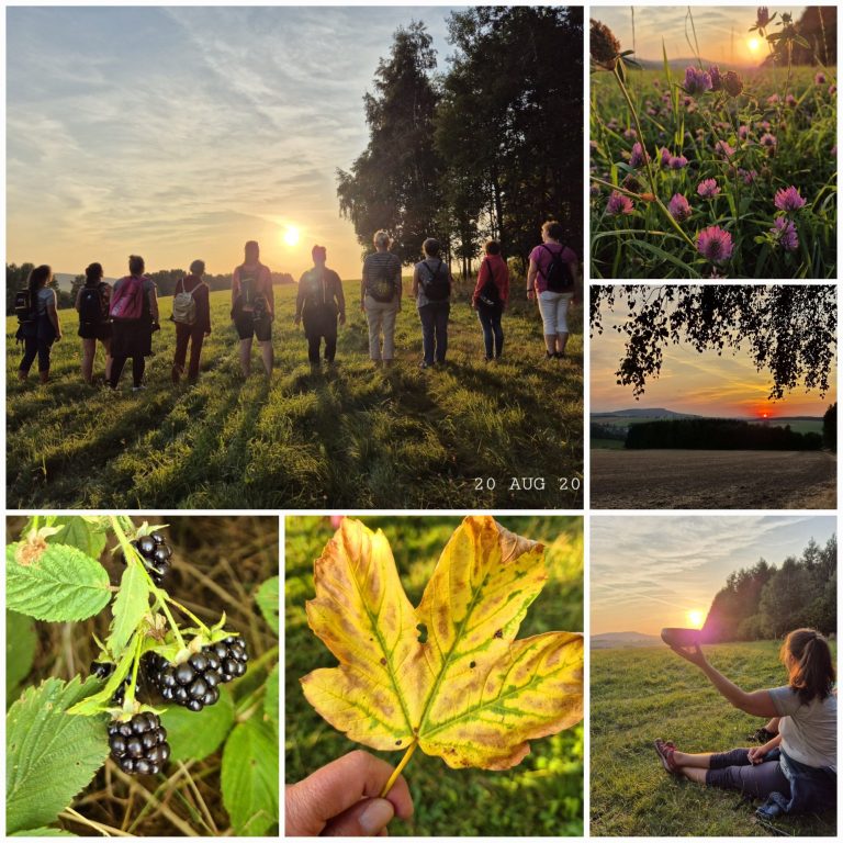 Abendwanderung 20.8.25 Abendwanderung 20.8.25
