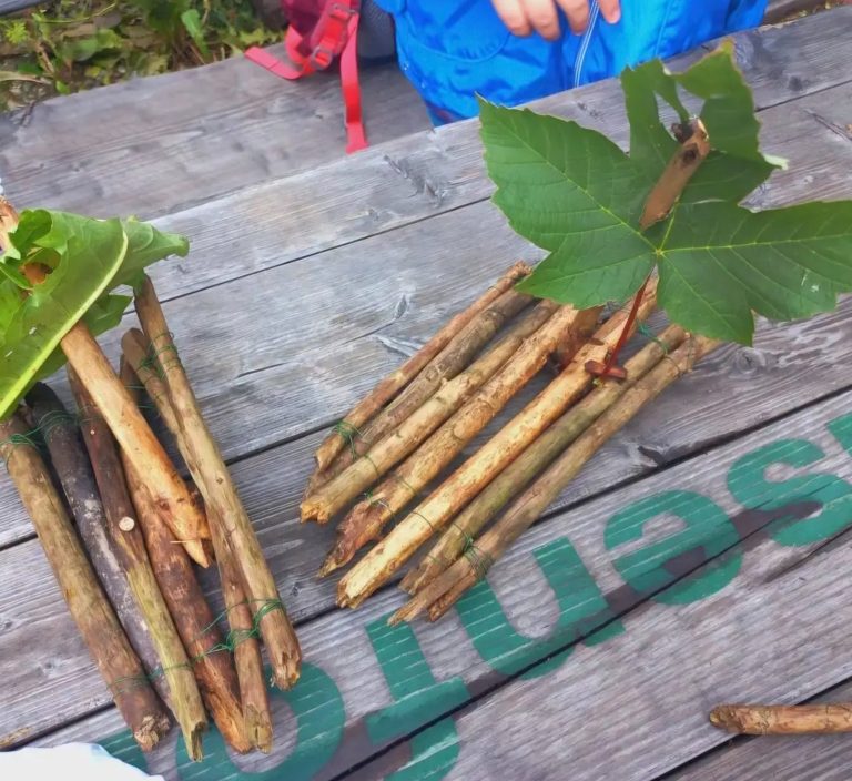 basteln mit Naturmaterialien