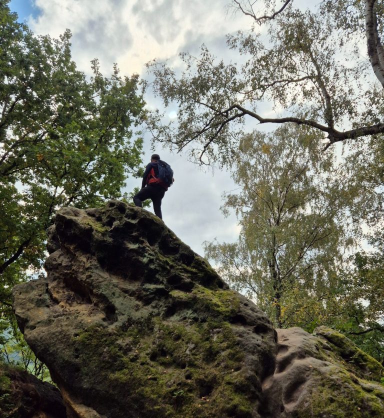 Wanderer über dem Nebelmeer