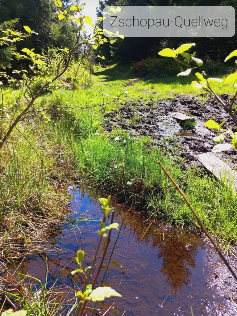 Zschopau-Quellweg