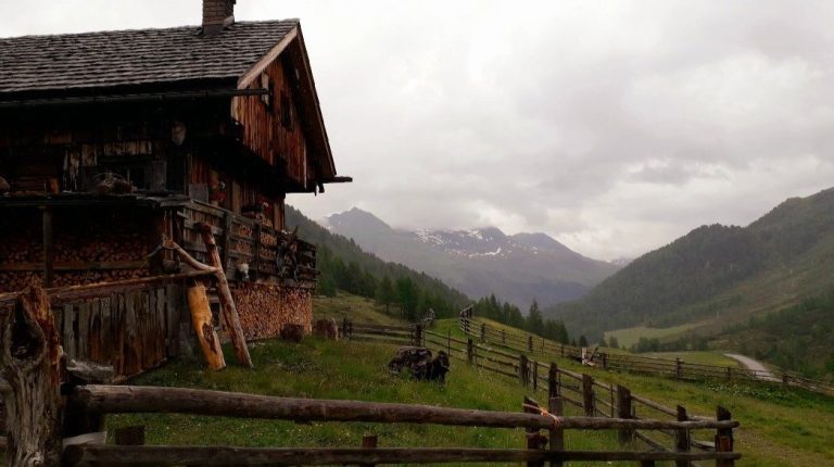 Almen im Defereggental