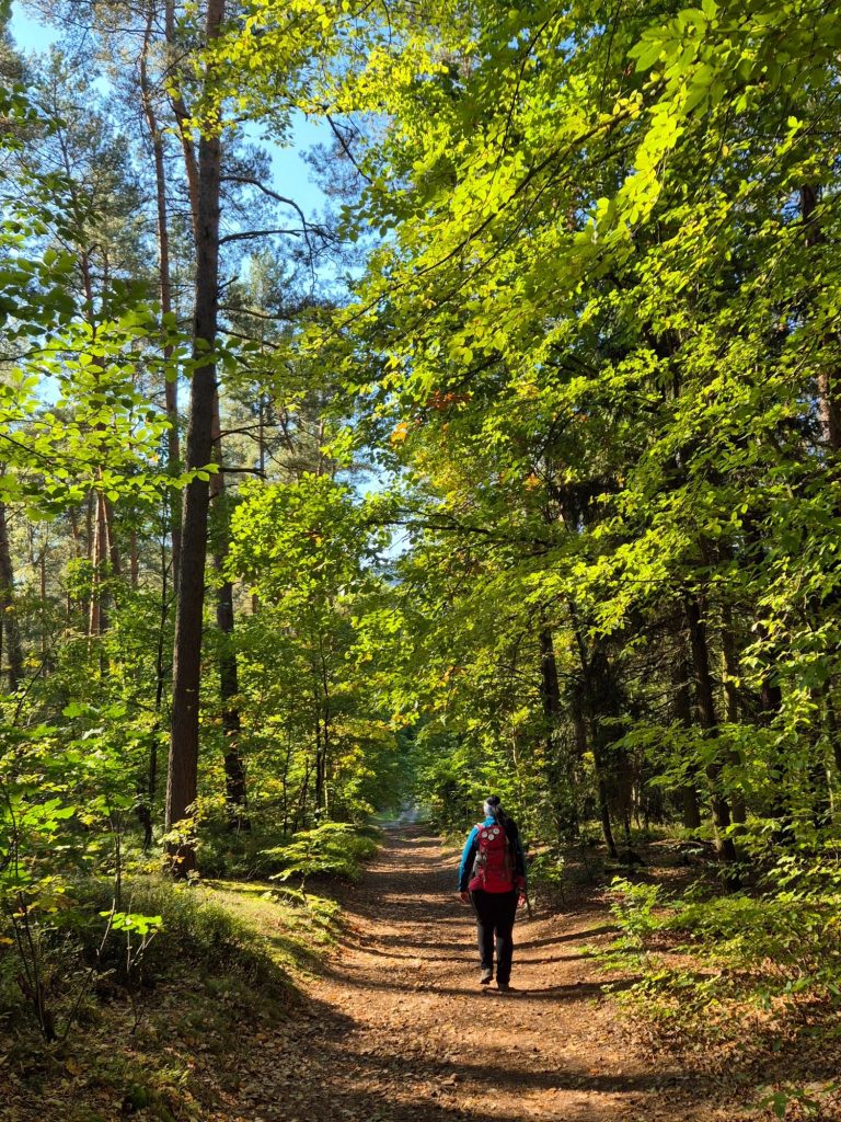 Auf dem Weg zum Lilienstein