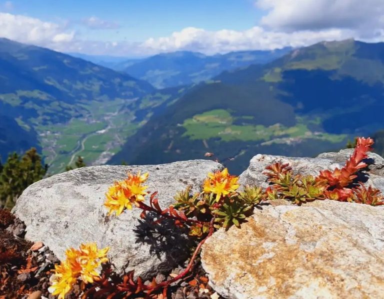 Blick ins Zillertal Blick ins Zillertal