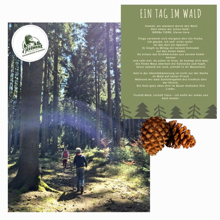 Kinderwaldwanderung Ein Tag im Wald