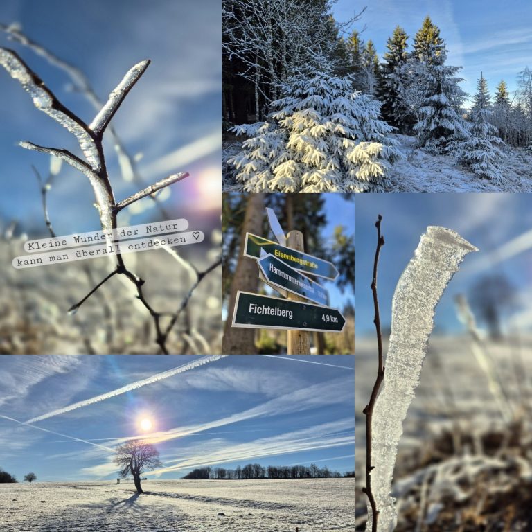 Winterwanderung am Fichtelberg