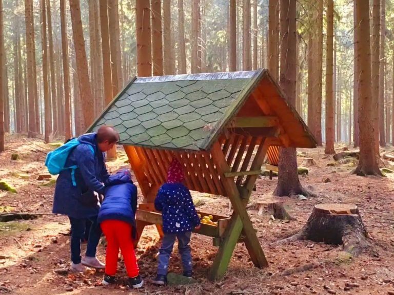 Am Sehmaer Hirtstein