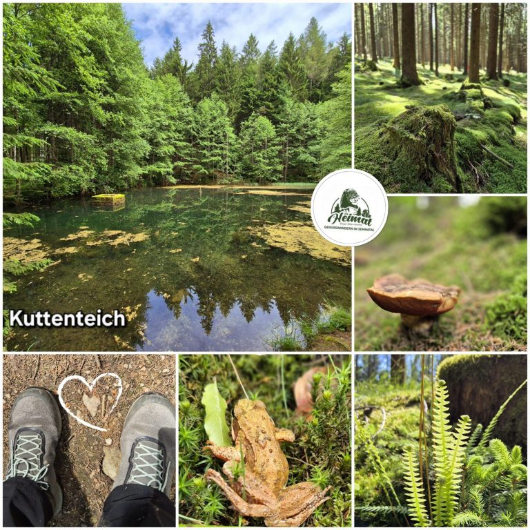 Kuttenteich Kuttenteich